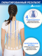 Б-506 Корсет ортопедический грудопоясничный, №5, Р2, бежевый